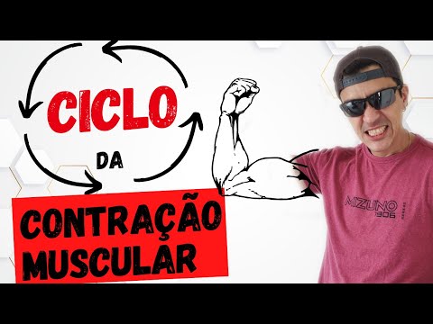 Ciclo da Contração Muscular - ENTENDA como o Cálcio e o ATP contraem o músculo!