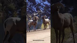 Download lagu Ehh ehh ehhh 😂 #memes #shortsfeed mp3 Download lagu Ehh ehh ehhh 😂 #memes #shortsfeed mp3