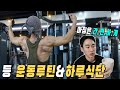 등 운동루틴과 하루 식단(밀팜 건강즙)/웨이트 트레이닝 브이로그