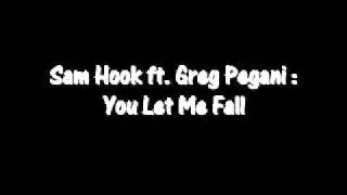 Sam Hook ft. Greg Pegani - You Let Me Fall