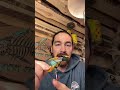 Video Thumbnail for Lunkerhunt Prop Fish Lures Nail Northern Pike