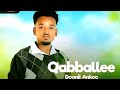 Doonii Ankoo New Oromo Music 2025 Official Vedio Qabballee