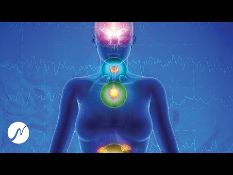 Endokrines System aktivieren (Zirbeldrüse, Schilddrüse, Nebennieren) - Digitale Hormonbehandlung