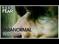 The Oregon Sasquatch | Paranormal Witness | Real Fear