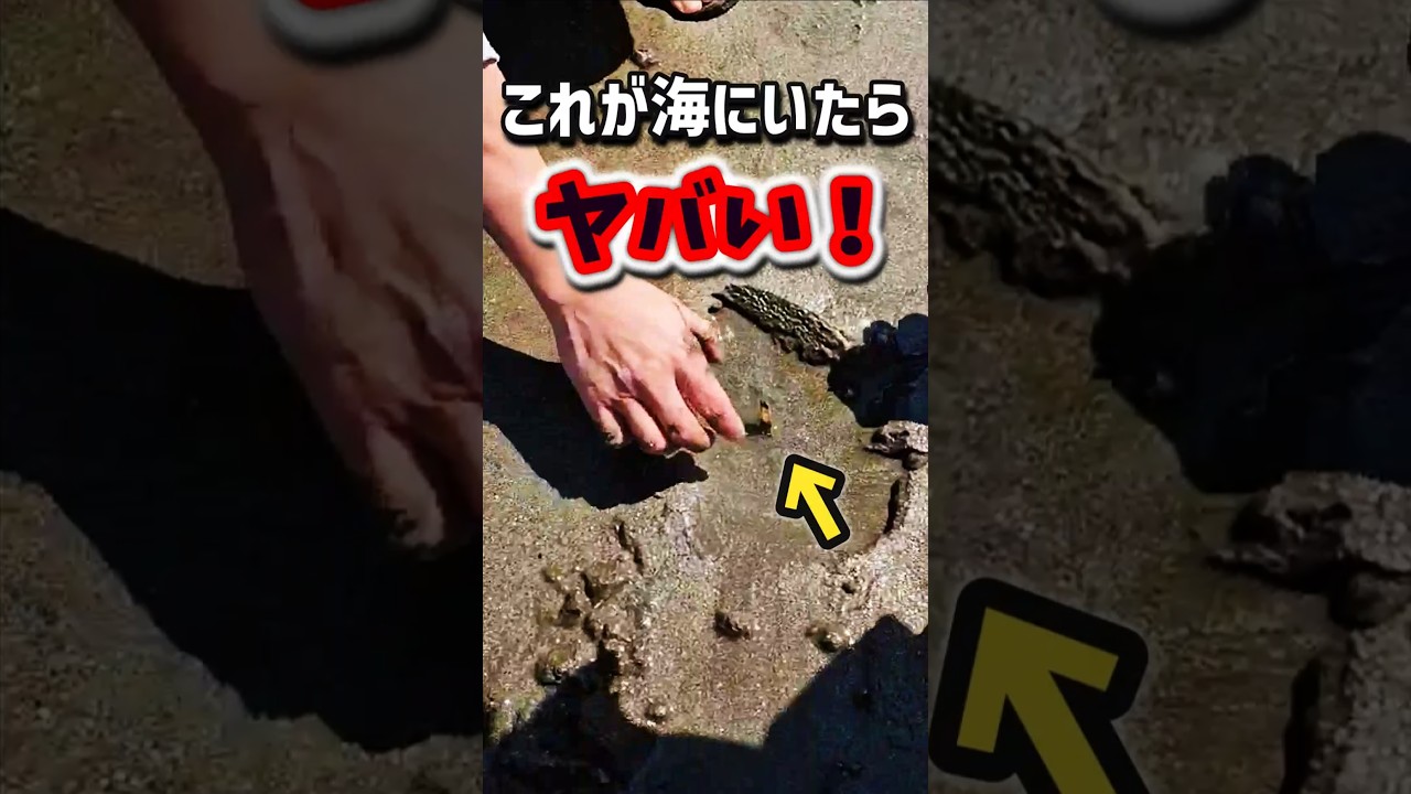 素手でいってヤバかった親子。※閲覧注意