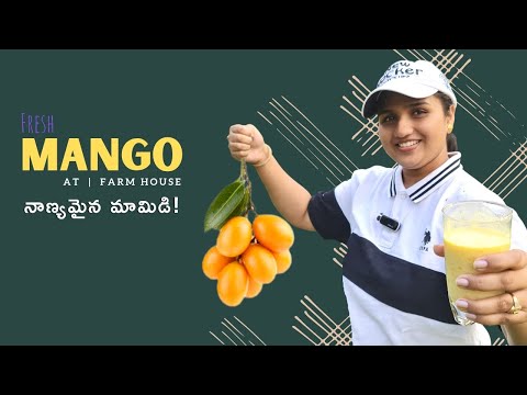 Fresh Farm Made Natural Mango Juice