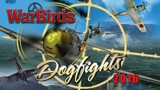 Clip of WarBirds Dogfights