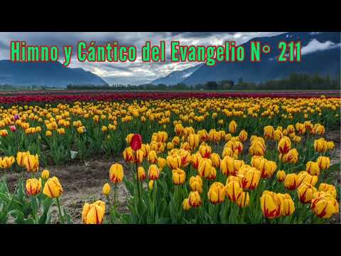 Himno y Cantico del Evangelio N° 211