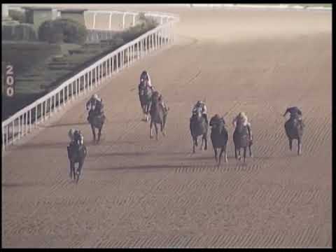 2018-12-14 Macau Meeting Race 1(0091) - THE GOWRAN PARK