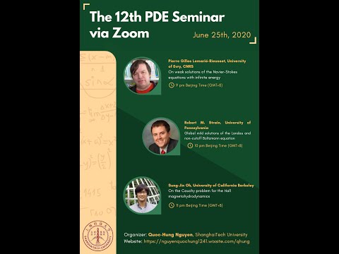 On weak solutions of the Navier-Stokes equations with infinite energy , P-G Lemarie Rieusset