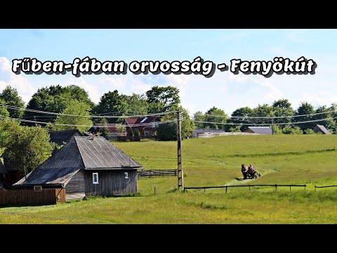 Székelyföldön gyógyhatású növényeket ismertünk meg Fenyőkúton egy igazi hegyi településen.