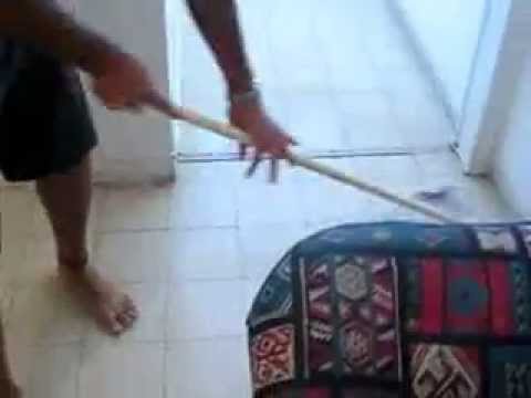 Jardim Yuyuan, Templo Chenghuangmiao, Mercado de Antiguidades Dongtailu: Roupas Shanghai Zhisheng