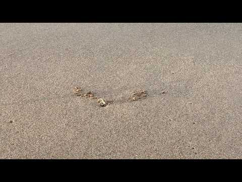 Early morning at da beach