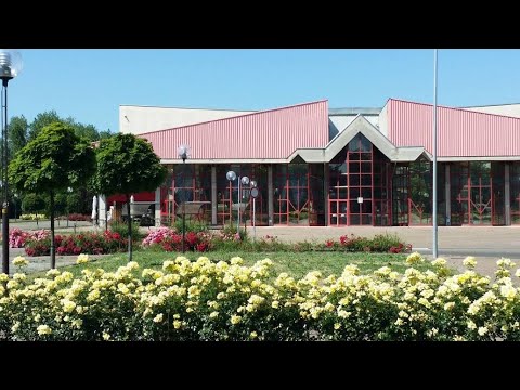 Un tipico venerdì al palazzetto