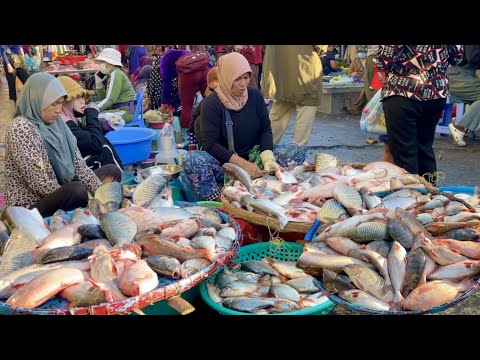 Explore The Fish Market Activities In Cambodia: Vegetables, Fruits & Other More | Phnom Penh City