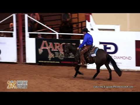 AK Locked And Loaded ridden by Mark A. Sigler  - 2017 Snaffle Bit Futurity (Rein Work Open Prelims)