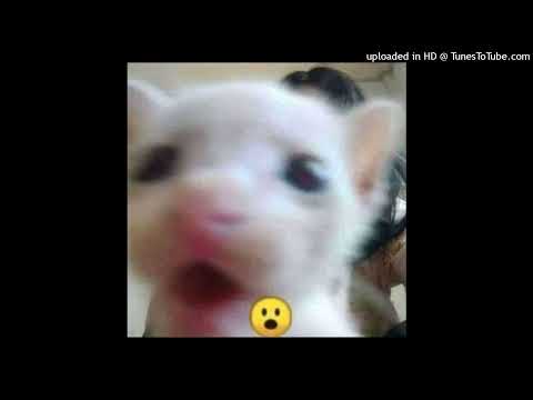 [FREE FOR PROFIT] *HARD DNB* NASCAR ALOE x STUPID TYPE BEAT - "GAMEOVER" (prod PSYCHO LORD)