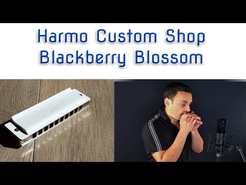 Harmo Custom Shop - Blackberry Blossom Bluegrass fiddle tune - Super country tuned harmonica