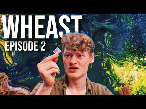 Wheast Episode 2 | 'A Lost Hope'