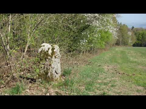 Grenzsteinwanderung zur Mottener Haube / Große Haube in der Rhön