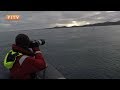 UNKNOWN GIANTS Sei Whales In The Falklands