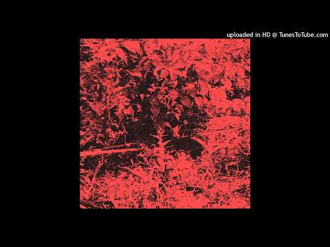 Trhä - cénnëëbamlíështaéma