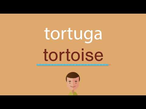 download lagu mp3 mp4 Tortuga En Ingles, download lagu Tortuga En Ingles gratis, unduh video klip Tortuga En Ingles