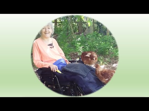 250702 - Namu: Housenka