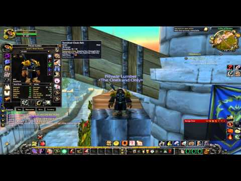 LvL 1 Twink Warrior DPS Gear (Lumber)