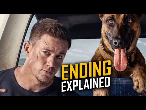 YouTube video about: Will the movie dog be on peacock?