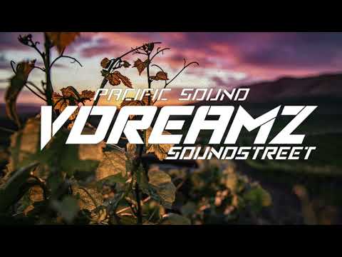 ZAKASH x KATY PERRY - ROAR ( FTNS REMIX )