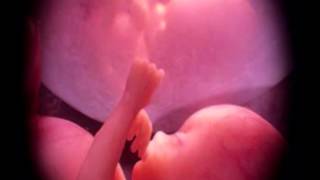 População do globo - Livro dos Espiritos