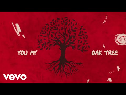Video thumbnail for Oak Tree