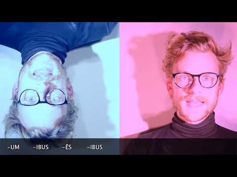 Latin 1st/2nd/3rd Declension Song - YouTube
