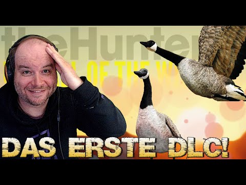 Anfängerserie Part 21 - Das erste DLC für mehr XP und Geld! | theHunter Call of the Wild