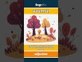 autumnal - looking, feeling, or happen... video thumbnail