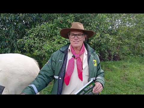 Veterano Juca Kranz é homenageado na Semana Farroupilha