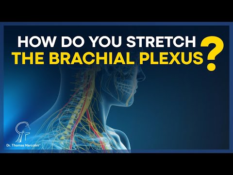 Essential Stretching and Exercises for Brachial Plexus Recovery!