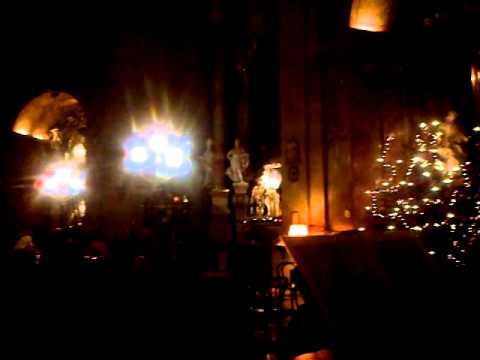 Peterskirche Vienna January 2014