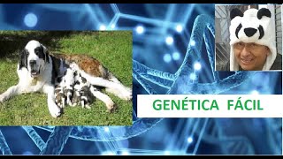 GENÉTICA BÁSICA, LOS CONCEPTOS QUE DEBES DOMINAR, PARA APRENDER GENÉTICA EN FORMA MUY RÁPIDA