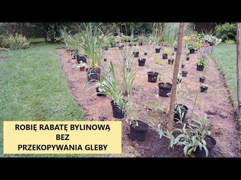 Zakładam Rabatę Bylinową bez przekopywania