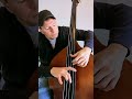 America on Double Bass after Jaco Pastorius