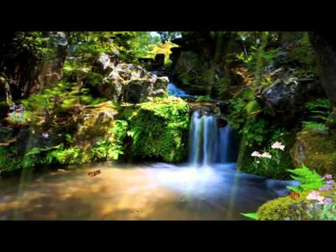 D-emotion Project -Pritourize Planitata **Stefka Sabotinova** Притури се планината**HD