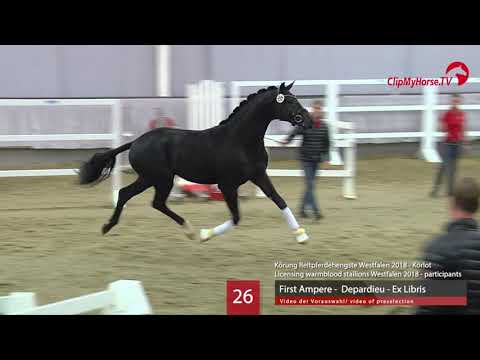 26 Hengst v. First Ampere - Depardieu - Ex Libris