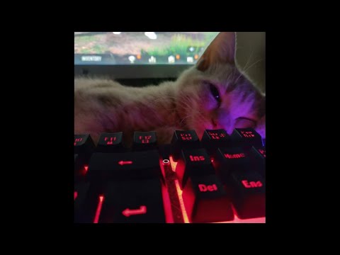 *Free for profit* Hyperpop x Sqwore x  LXNER type beat - "BARAN" (Prod. Anonimoch )