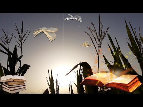 Musique pour l'étude📚 Musique pour étudier, augmenter la concentration || Best Music for Studying