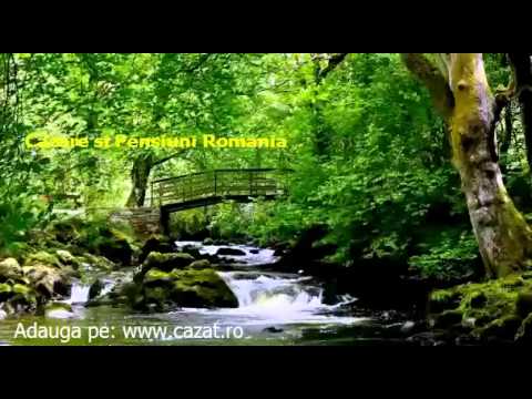 Cazare Ceptura de Jos, Prahova - Cazat.ro