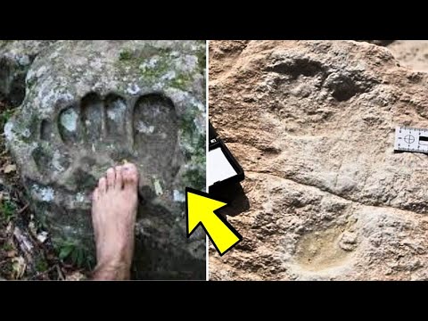 Archaeologists Find 115,000-Year-Old Human Footprints That May Rewrite History