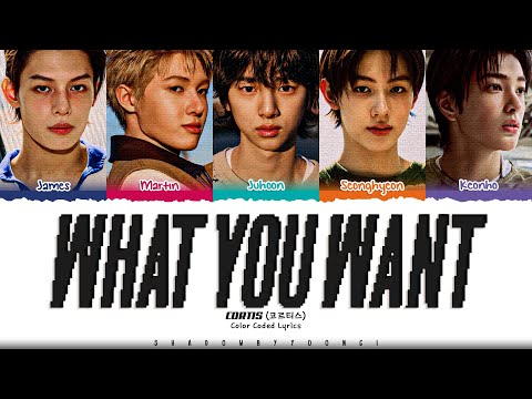 CORTIS 'What You Want' Lyrics (코르티스 What You Want 가사) [Color Coded Han_Rom_Eng] | ShadowByYoongi