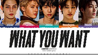 Download lagu CORTIS 'What You Want' Lyrics (코르티스 What You Want 가사) [Color Coded Han_Rom_Eng] | ShadowByYoongi mp3